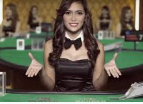 壹号电子娱乐app下载2024最新版